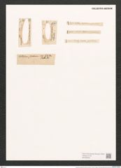 Colletonema lacustre (Ag.) Kuetz. (de-Toni-Nr.: Genus 18, Species 1155) Zeichnungen Sammlung Grunow (NHMW-BOT-W0369349)